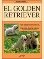 El Golden retriever