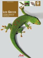 Los gecos