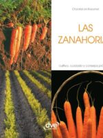 Las Zanahorias