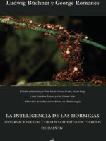 La inteligencia de las hormigas:Observaciones de comportamiento en tiempos de Darwin