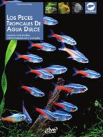 Los peces tropicales de agua dulce