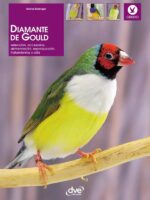 Diamante de gould
