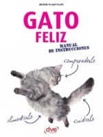 Gato feliz
