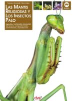 Las Mantis religiosa y los insectos palo