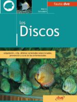 Los discos