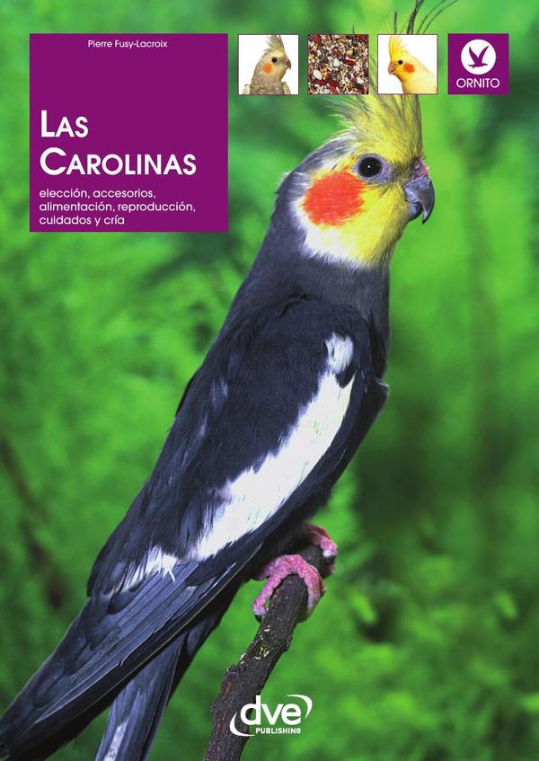 Las Carolinas