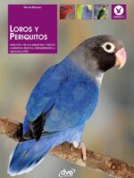 Loros y periquitos