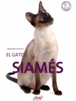 El gato siamés