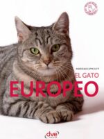 El Gato Europeo