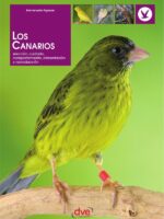 Los canarios