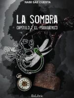 La Sombra. Capítulo I: el psiquiátrico
