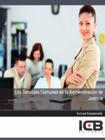 Los Servicios Comunes en la Administración de Justicia