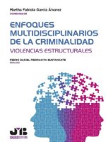 Enfoques multidisciplinarios de la criminalidad:Violencias estructurales