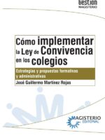 Cómo implementar la Ley de Convivencia en los colegios