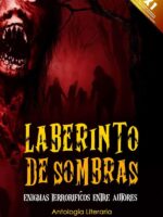 Laberinto de sombras