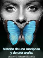 Historia de una mariposa y de una araña