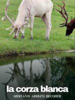 La corza blanca