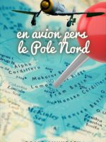 En avion pers le Pole Nord