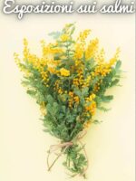 Esposizioni sui salmi