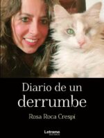 Diario de un derrumbe