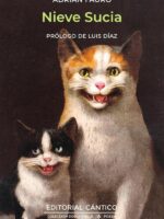 Nieve sucia