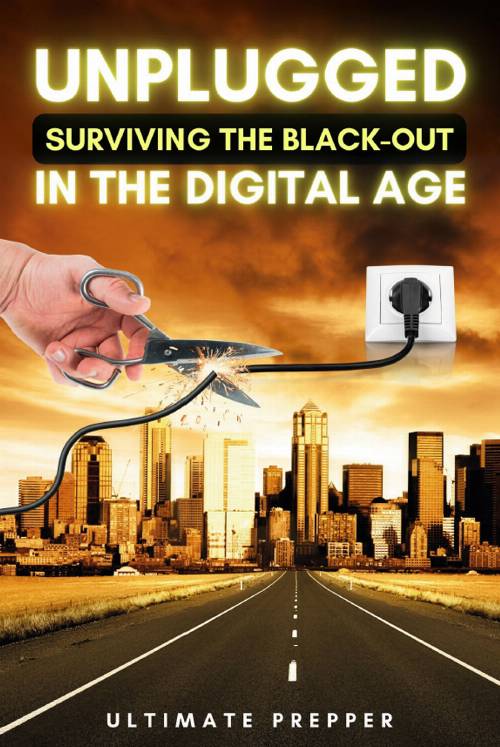 Unplugged: Surviving the black- out in the digital age