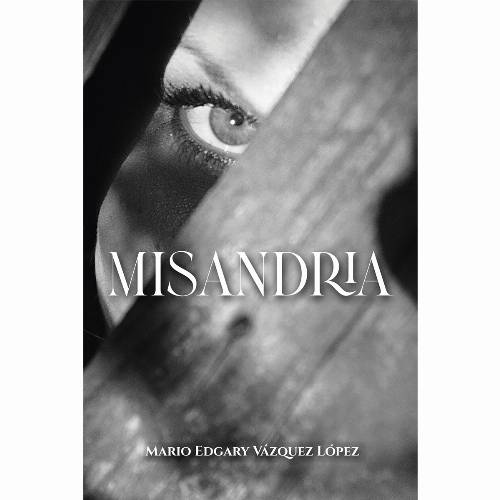 Misandria