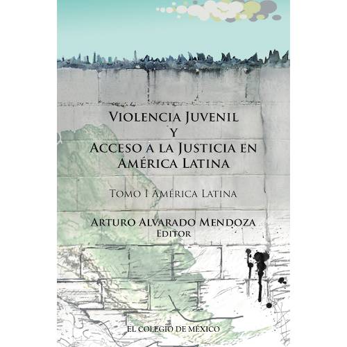 Violencia juvenil y acceso a la justicia.
