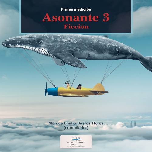 Asonante 3. Ficción