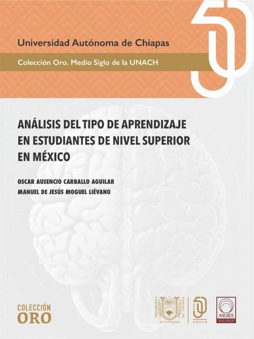 Análisis del tipo de aprendizaje en estudiantes de nivel superior en México