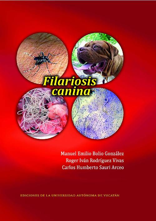 Filariosis canina