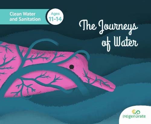 The Journeys Of Water