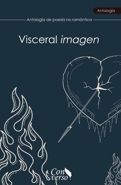 Visceral imagen