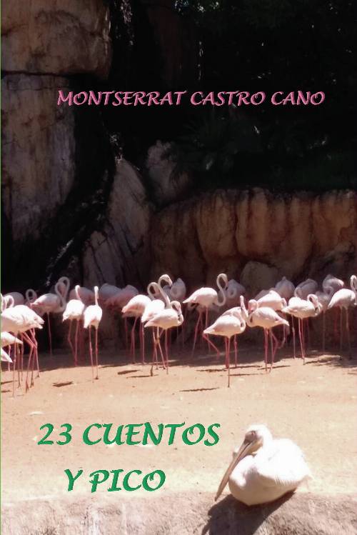 23 Cuentos y pico