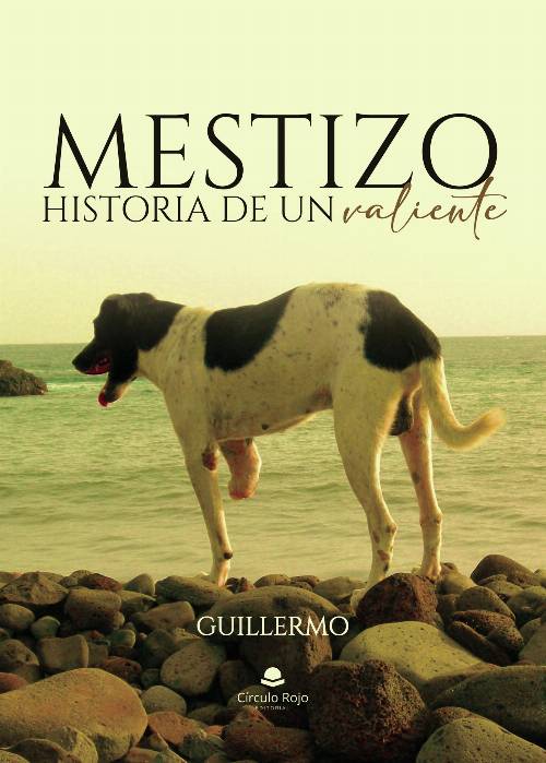Mestizo, historia de un valiente