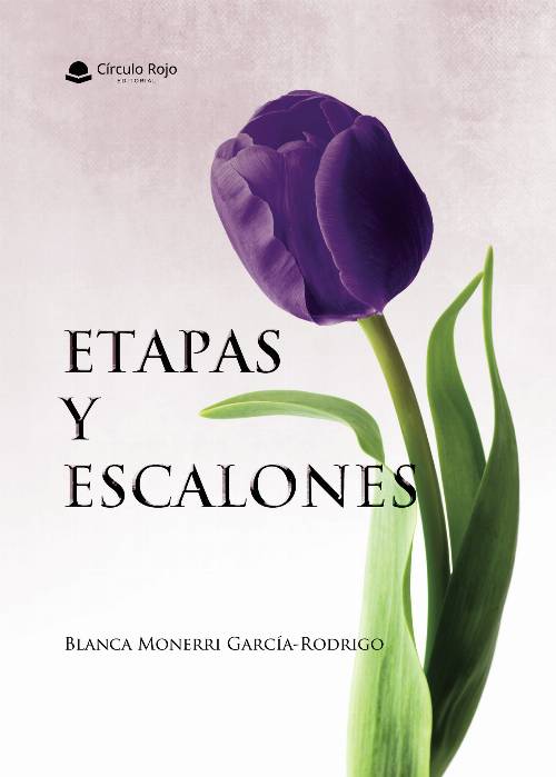 Etapas y escalones