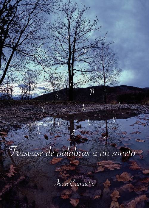 Trasvase de palabras a un soneto