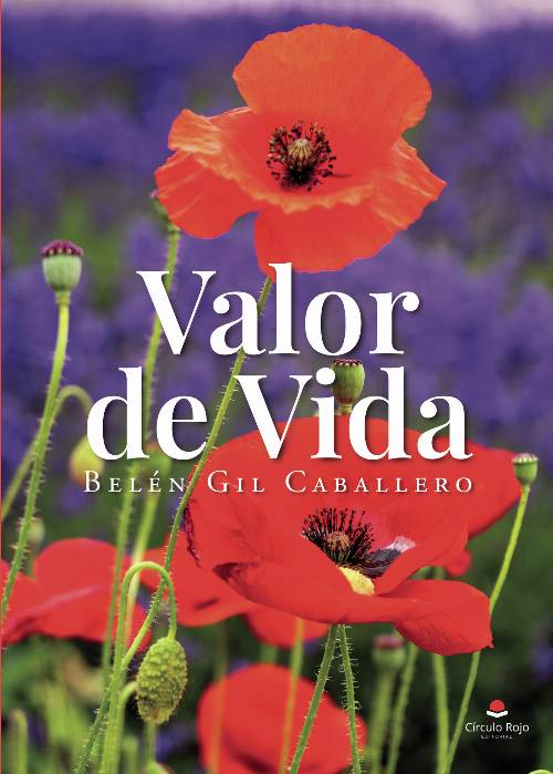Valor de vida