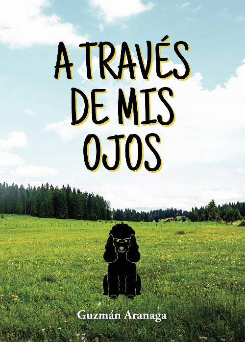 A través de mis ojos
