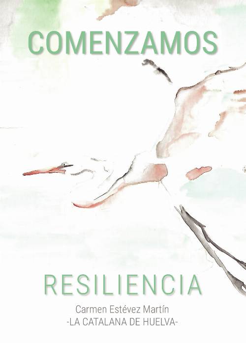Comenzamos
