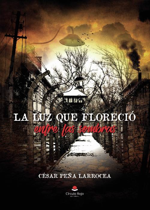 La luz que floreció entre las sombras