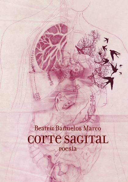 Corte Sagital
