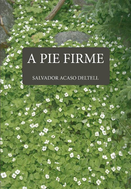 A pie firme