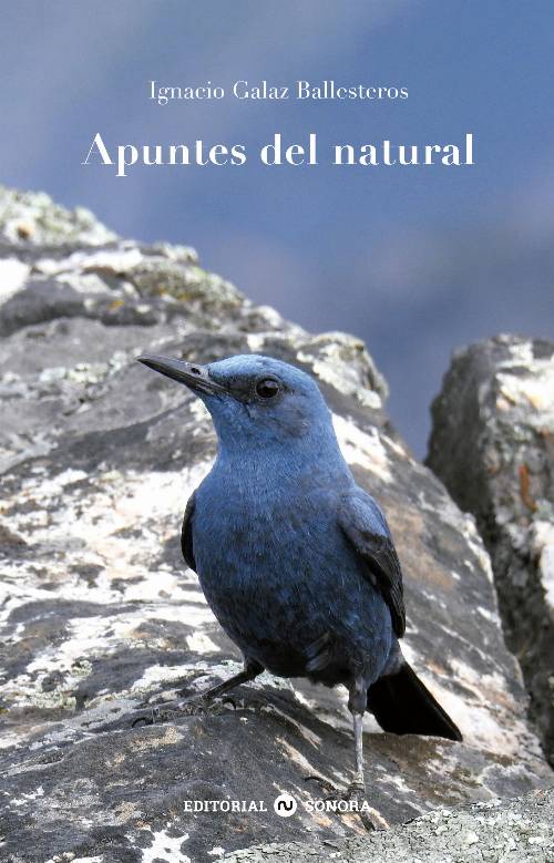 Apuntes del natural