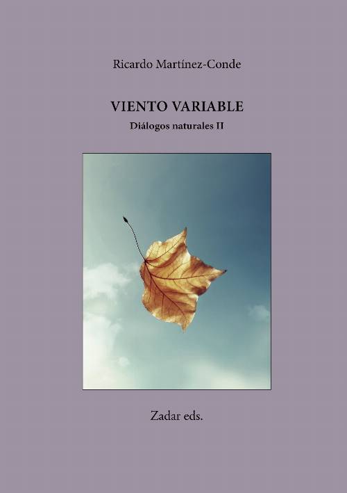 Viento variable