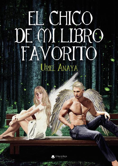 El chico de mi libro favorito