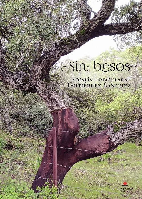 Sin besos