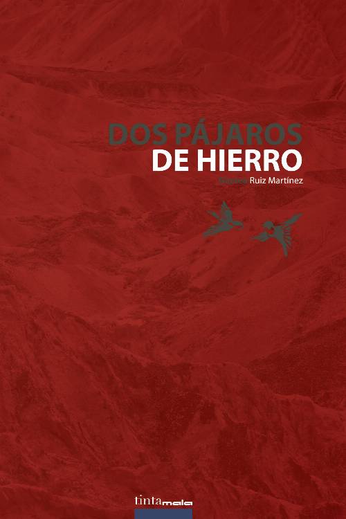 Dos pájaros de hierro