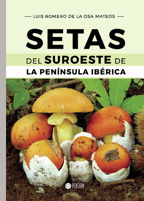 Setas del Suroeste de la Península Ibérica