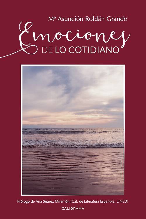 Emociones de lo cotidiano